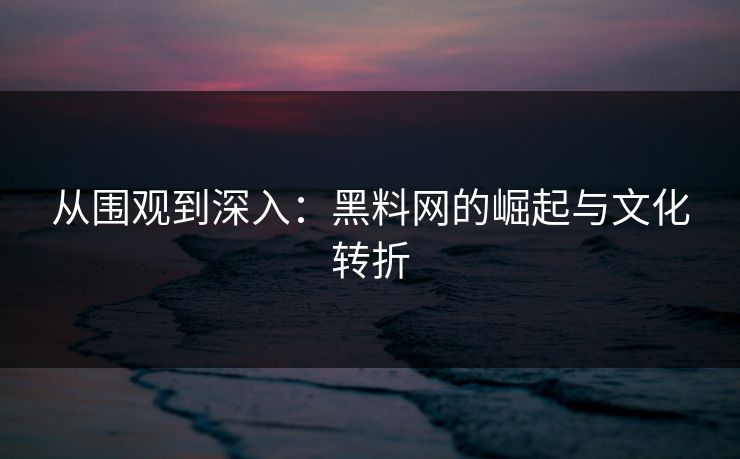 从围观到深入：黑料网的崛起与文化转折