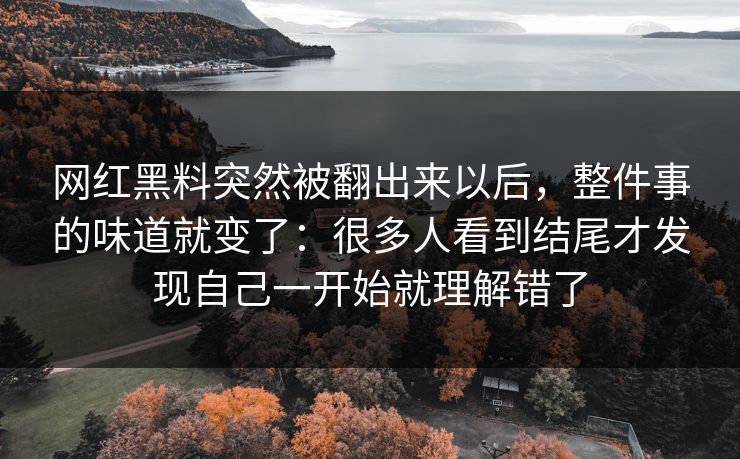网红黑料突然被翻出来以后，整件事的味道就变了：很多人看到结尾才发现自己一开始就理解错了