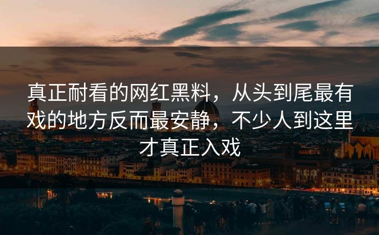 真正耐看的网红黑料，从头到尾最有戏的地方反而最安静，不少人到这里才真正入戏