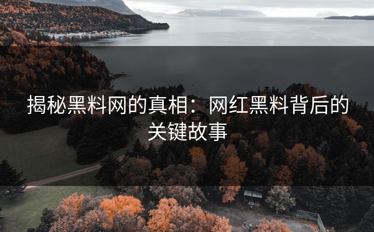 揭秘黑料网的真相：网红黑料背后的关键故事