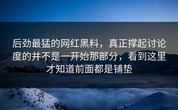 后劲最猛的网红黑料，真正撑起讨论度的并不是一开始那部分，看到这里才知道前面都是铺垫