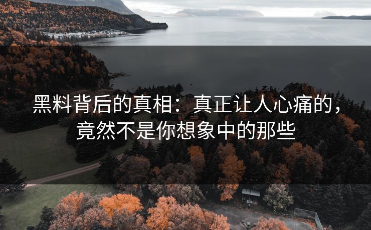 黑料背后的真相:真正让人心痛的,竟然不是你想象中的那些 黑料背后的真相:真正让人心痛的,竟然不是你想象中的那些