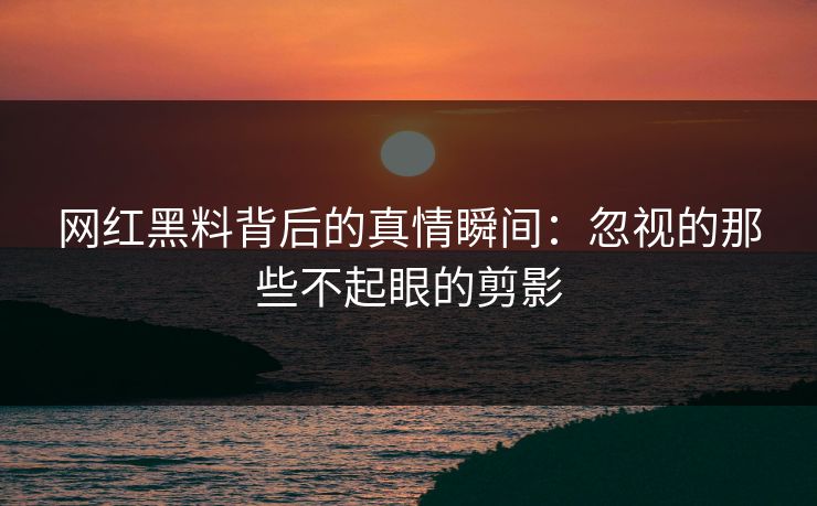 网红黑料背后的真情瞬间：忽视的那些不起眼的剪影